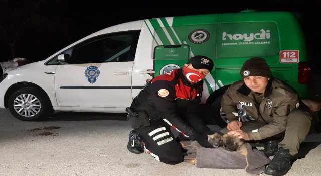 Havaların soğuduğu Uşakta sokak canlıları unutulmadı