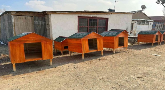 HAYTAPtan Yüksekovadaki sokak hayvanları için kulübe yardımı