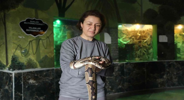 Hayvanat bahçesi sakinlerine kışa özel bakım