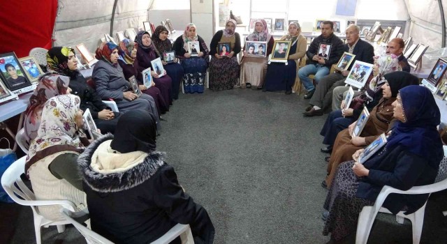 HDP mağduru ailelerden Diyarbakıra gelen Meral Akşenere tepki
