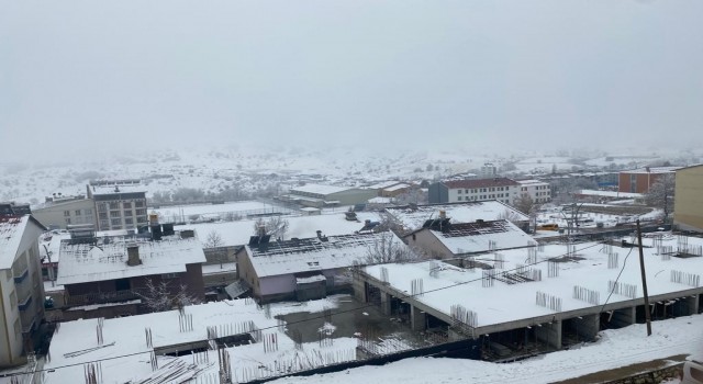 Hozatta kuduz karantinası