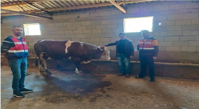 Iğdır JASATtan büyük başarı: 111 olay aydınlatıldı