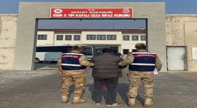 Iğdırda hakkında kesinleşmiş hapis cezası bulunan kişi tutuklandı