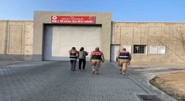 Iğdırda resmi belgede sahtecilik suçundan 1 kişi tutuklandı