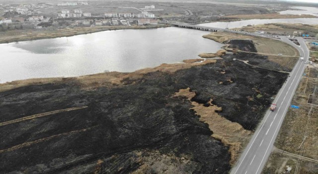 Isınmak için yaktığı ateş 45 dekar alanı kül etti