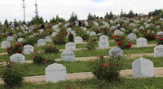 İstanbulda 45 bin lira Sivasta bedava
