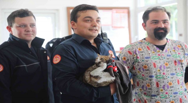 İtfaiye ekipleri kurtardıkları kediyi sahiplendi