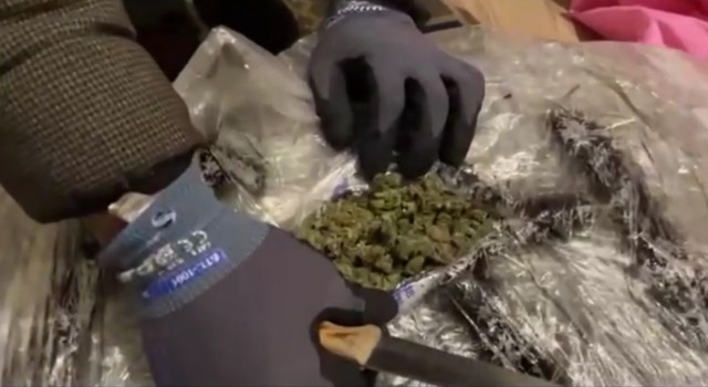 İzmir polisinden zehir baskını: 22 kilo esrar ele geçirildi