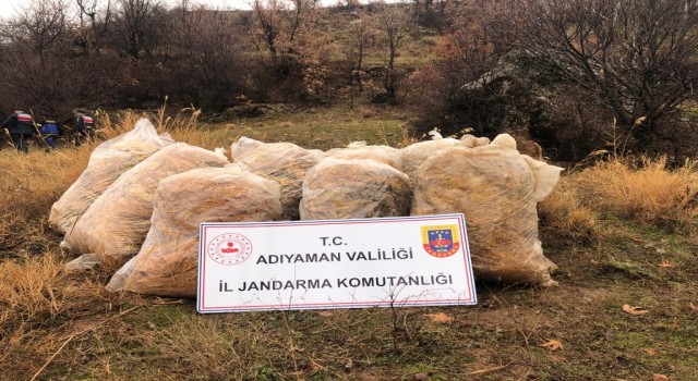 Jandarma çalınan tütünleri dere yatağında buldu