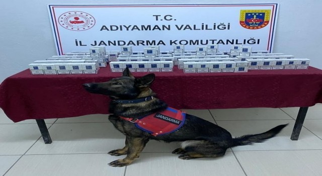 Jandarma kaçak sigara ele geçirdi