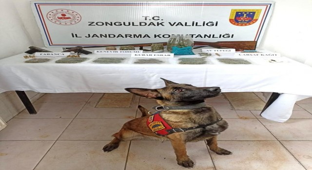 Jandarma zehir tacirlerine göz açtırmıyor