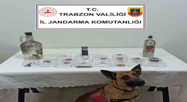 Jandarmadan uyuşturucu partisine baskın