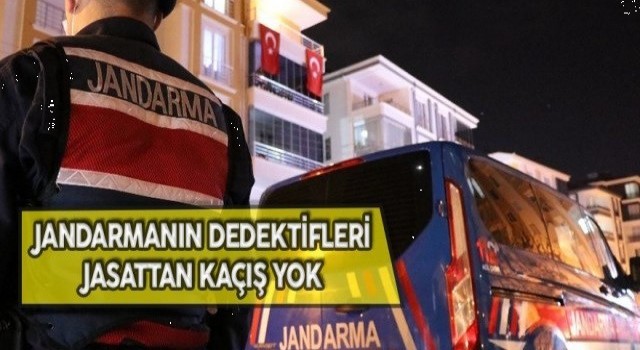JASAT, 1 yılda 788 olayı aydınlattı