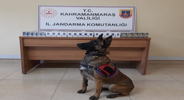Kahramanmaraşta kaçakçılıkla mücadele