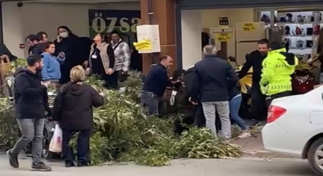 Kaldırımda yürüyen kadının başına ağaç dalı düştü