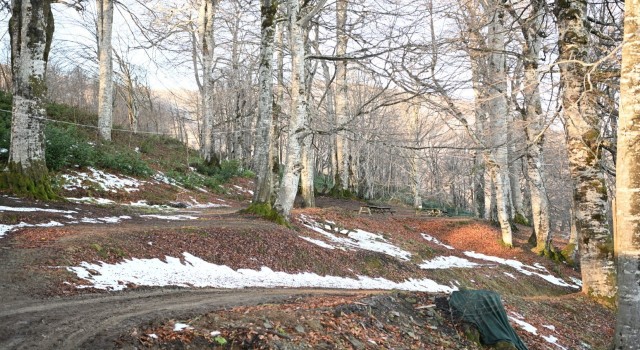 Kartepeye yeni mesire alanı