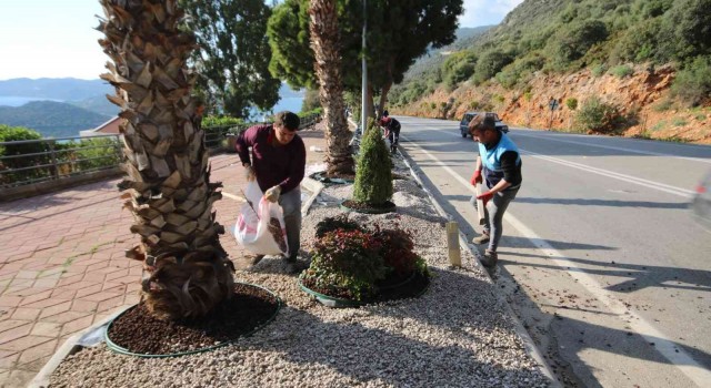 Kaşta peyzaj çalışmalarında 4 bin 625 bitki dikildi