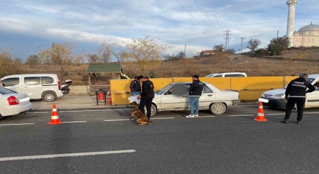 Kastamonuda uyuşturucu arama köpeği CEKU ile denetimler devam ediyor