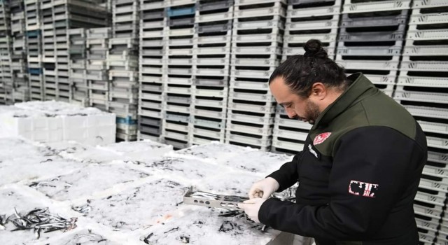Kayseride eş zamanlı balık denetimi