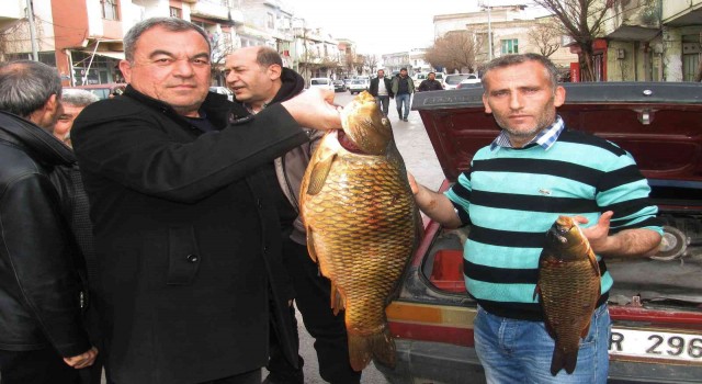 Kebap diyarında balık avlayarak geçimlerini sağlıyorlar