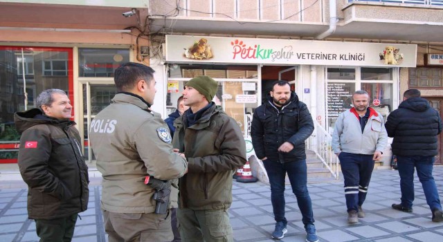 Kedileri, Aşk ve Bağlama büyüsü için kesmişler