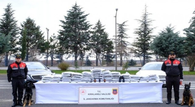Kırklarelinde bir yılda 2 milyon 878 bin 335 kök kenevir ele geçirildi
