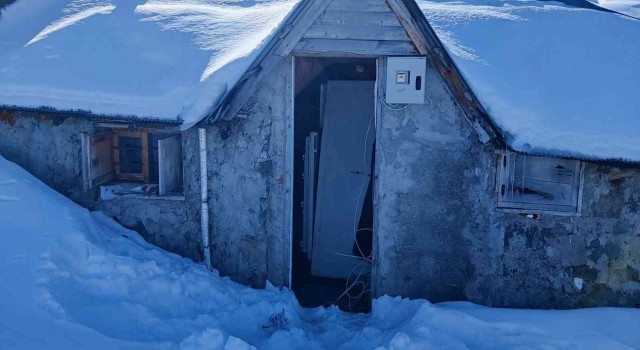 Kış uykusuna yatmayan ayı yayla evlerine dadandı