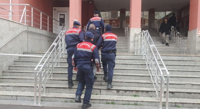 Kocaelide jandarmadan terör operasyonu