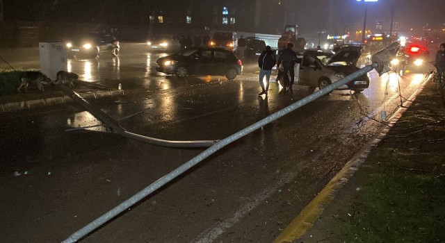 Kocaelide otomobil elektrik direği ve ağaçları devirdi: 2 yaralı