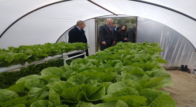 Köy Yaşam Merkezindeki seralarda minik ellerle umutlar yeşeriyor