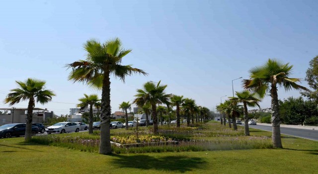 Kuşadası Belediyesi bir yılda yeşile 18 milyon 415 bin TLlik yatırım yaptı