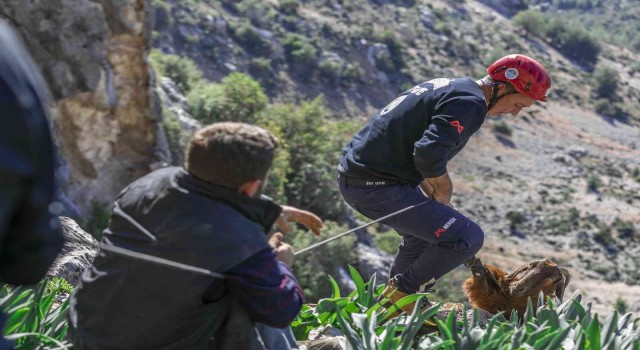 Mahsur kalan 3 keçiyi itfaiye kurtardı