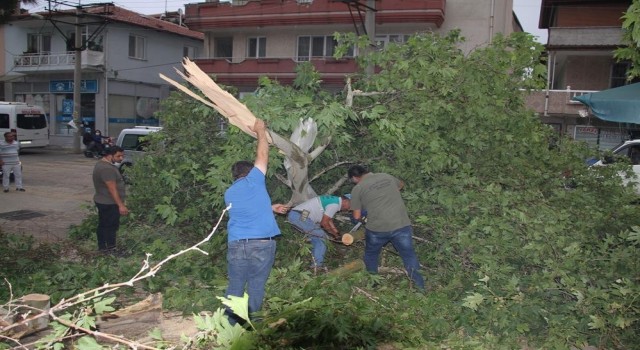 Manisaya kuvvetli rüzgar ve fırtına uyarısı