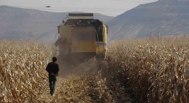 Mardinde kuraklık rekolteyi yüzde 50 oranında düşürebilir