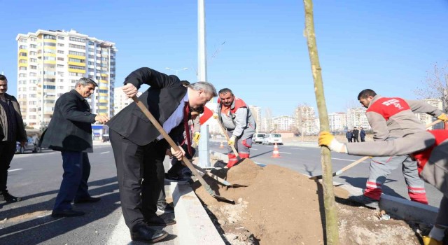 Melikgazi ilçeyi devasa ağaçlarla yeşillendirmeye devam ediyor