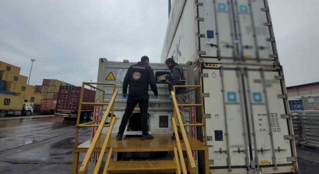 Mersin Limanında 56 kilo kokain ele geçirildi
