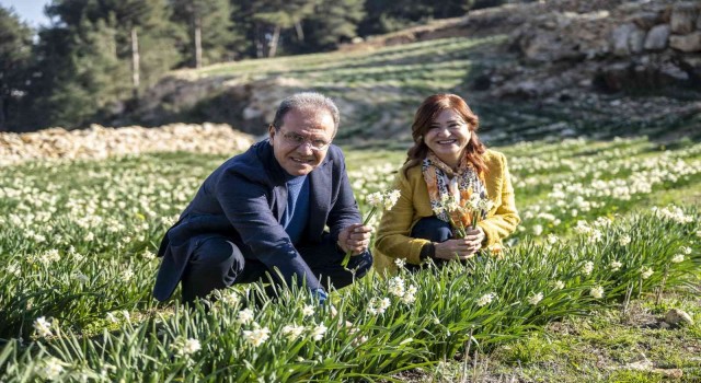 Mersinde Nergis Şenliği düzenlendi