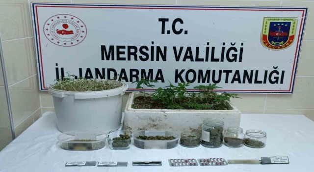Mersinde uyuşturucu operasyonu: 1 tutuklu