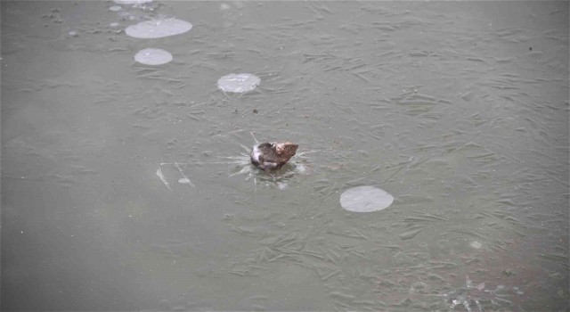 Meteorolojiden buzlanma ve don uyarısı
