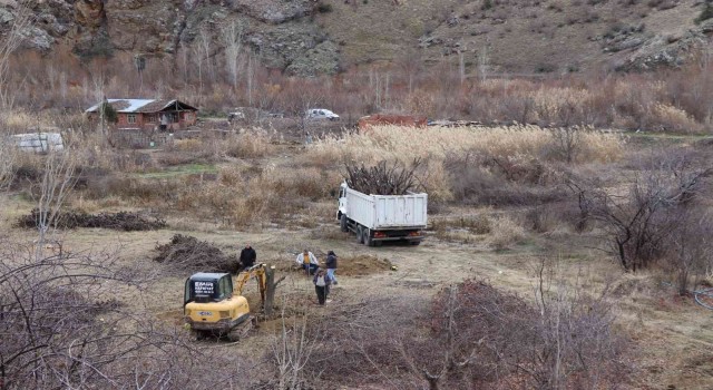 Meyve bahçelerinin ağaçlarını iş makineleri ile söküyorlar