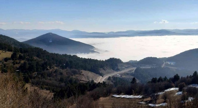 Mudurnuda sisle oluşan manzara hayran bıraktı