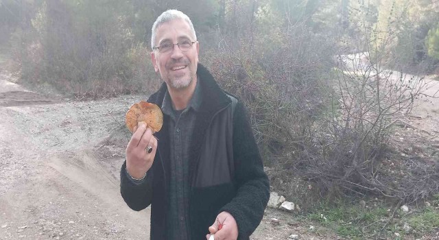 Muğlada vatandaşlar hafta sonunu dağlarda çıntar mantarı toplayarak geçirdi