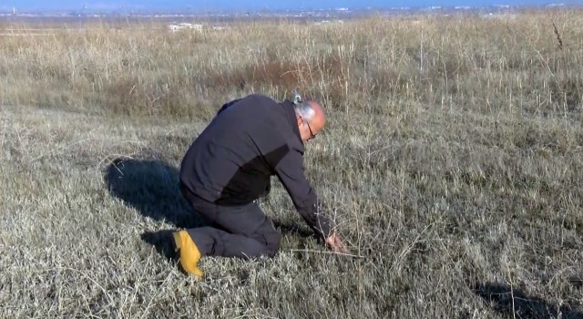 Muşta kuraklık endişesi