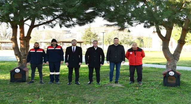 Mustafakemalpaşa Belediyesinden ‘Kedi Evi projesi