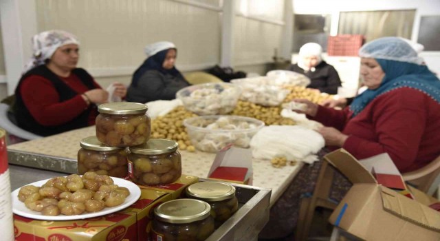 Nazillinin kestane şekeri, 10 bin kilometre ötede damakları lezzetlendiriyor