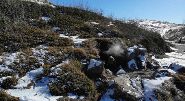 Nemrutun yazın kuruyan “Buhar Bacaları” kışın yeniden aktifleşti