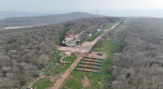 O merkez sahipsiz canlara umut olmaya devam ediyor
