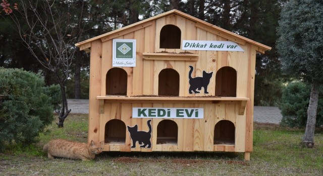 Osmaniye Belediyesinin kedi evleri can dostlara yuva oldu