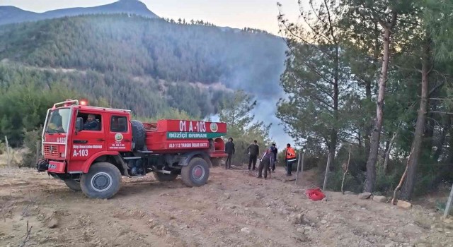 Osmaniyenin Düziçi ilçesinde ormanlık alanda çıkan yangın kontrol altına alındı