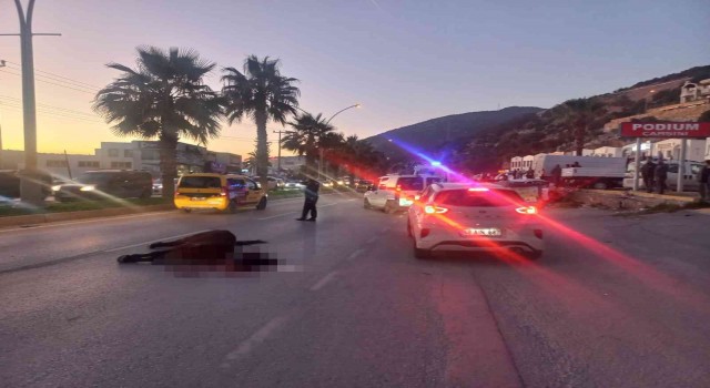 Otomobil aniden yola çıkan ata çarptı: 2 yaralı